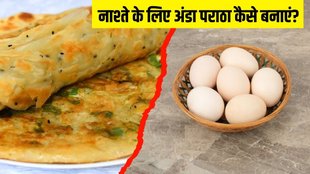 Egg Paratha । Egg Paratha Recipe । Egg Paratha Recipe in Hindi