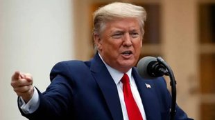Donald Trump, trump, trump india