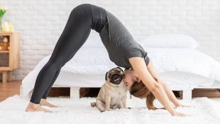 Downward Dog Pose Yoga। Downward Facing Dog Yoga Pose। Downward Facing Dog