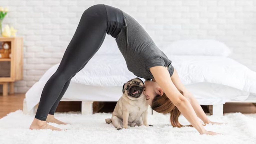 Downward Dog Pose Yoga। Downward Facing Dog Yoga Pose। Downward Facing Dog