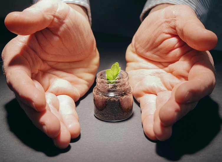 Environmental responsibility in eating habits