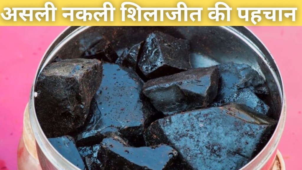 Fake Vs Original Shilajit। How to identify original shilajit। identify original shilajit in hindi