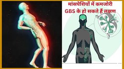 Guillain Barre Syndrome: पुणे में GBS सिंड्रोम से मचा हाहाकार, अब तक 16 लोग वेंटिलेटर पर पहुंचे, आखिर क्या है यह बीमारी? कैसे करें बचाव