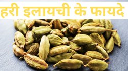 Good Night Tips: नींद के लिए काफी बेहतर है हरी इलायची, हर रोज खान से होता है Weight Loss