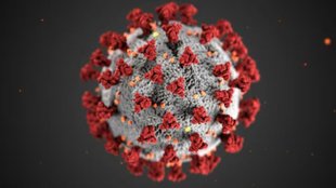 HMPV VIRUS | KARNATAKA |