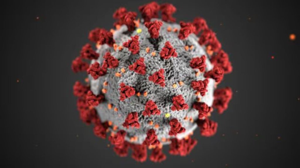 HMPV VIRUS | KARNATAKA |