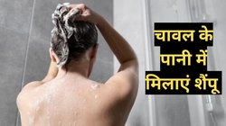 चावल के पानी में शैंपू मिलाकर लगाने से क्या होता है? यहां जाने हर एक सवाल का जवाब