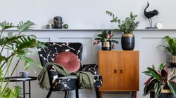 Home Decor: कम समय और कम बजट में भी चमचमाएगा आपका घर, बस इस तरह से कर लें सजावट