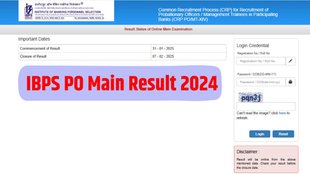 ibps po main result 2024 ,ibps po main result 2024 out,ibps po main result 2024 declared
