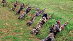 Chhattisgarh Naxal Attack: छत्तीसगढ़ में कब-कब हुए नक्सली हमले? सरकार ने 2026 के लिए बनाया ये बड़ा प्लान