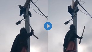 Sambhal, sambhal electricity news, Sambhal Viral Video