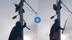 पोल पर जैसे ही पावर काटने चढ़ा लाइनमैन, हाथ में डंडा लिए पीछे से चढ़ गई महिला, फिर जो हुआ…, VIRAL VIDEO