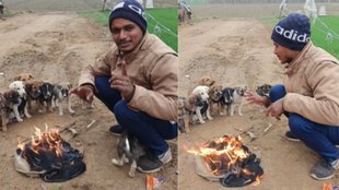Emotional video, Pet dogs, Instagram reel