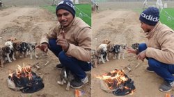 ठंड से कांप रहे थे पिल्ले, तभी शख्स ने बेजुबान की मदद के लिए जलाया अलाव, यूजर्स बोले – आप जैसे और लोगों की है जरूरत