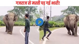 angry elephant chases man, angry elephant chases man video, viral videos