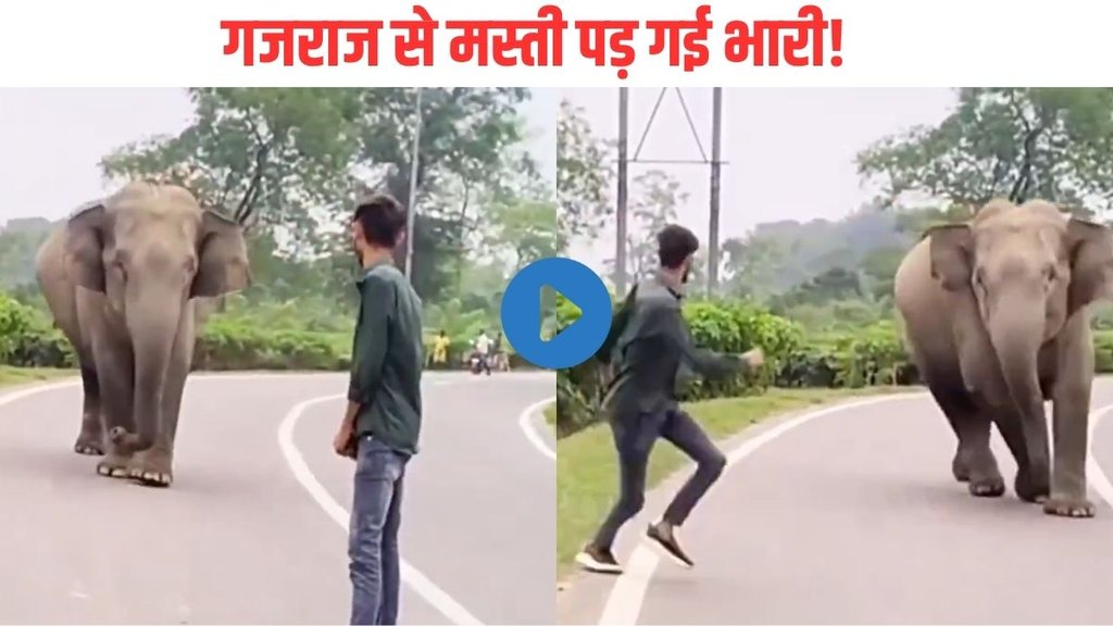 angry elephant chases man, angry elephant chases man video, viral videos