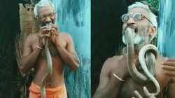 शख्स ने खेल-खेल में दांतों में दबा लिया सांप का फन, फिर जो हुआ…, कमजोर दिल वाले ना देखें Viral Video