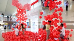 ‘कितनी लकी है ये…’, बॉयफ्रेंड ने इस अंदाज में किया प्रपोज, गर्लफ्रेंड हो गई इमोशनल, Viral Video देख यूजर्स ने ऐसे किया रिएक्ट