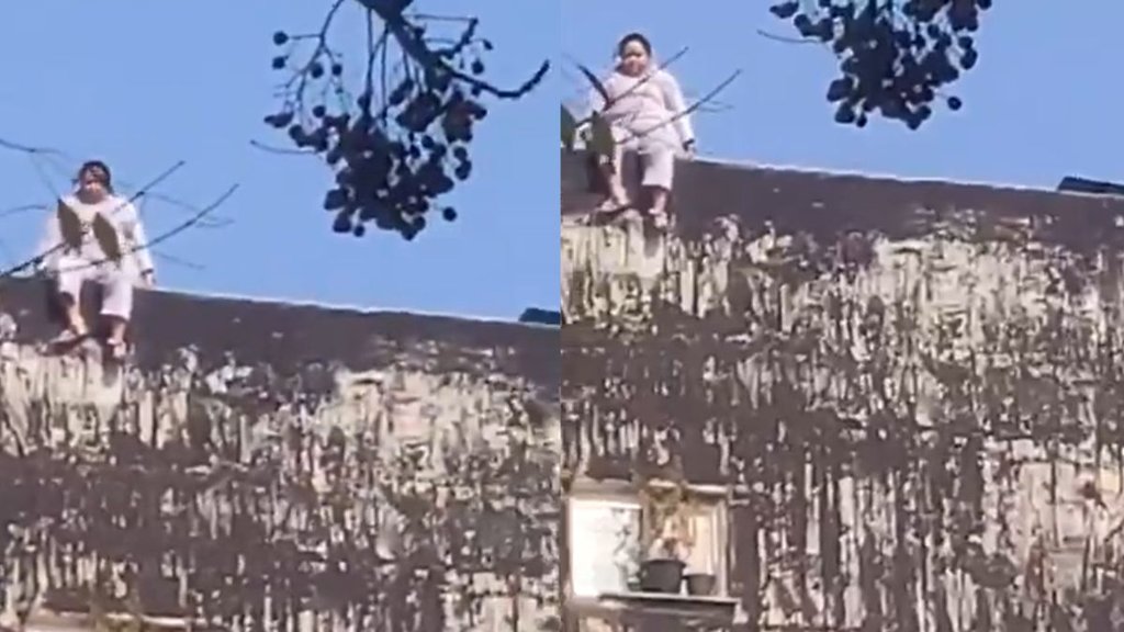 Noida| Noida Woman Suicide| Noida Suicide