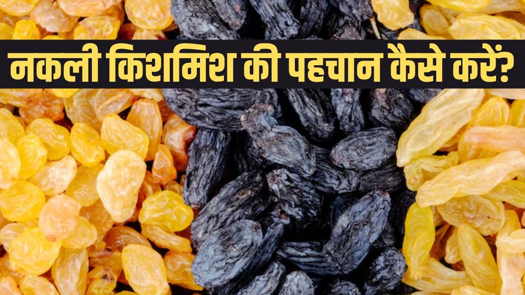 Real vs Fake Raisins। Real Raisins ।Fake Raisins