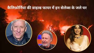 Los Angeles Wildfires Destroy Homes of Celebrities Latest Update