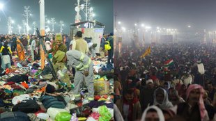 Maha Kumbh Stampede, prayagraj news,