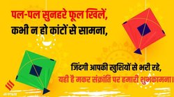 Happy Makar Sankranti 2025 Wishes Hindi Shayari: तिलकुट की खुशबू… मकर संक्रांति पर अपनों को यहां से शेयर करें मैसेज, स्टेटस और शायरी