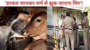 karnataka, cow, police, BJP