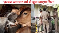 बेंगलुरु में 3 गायों का काटा थन, घिनौनी करतूत जानकर फूटा लोगों का गुस्सा
