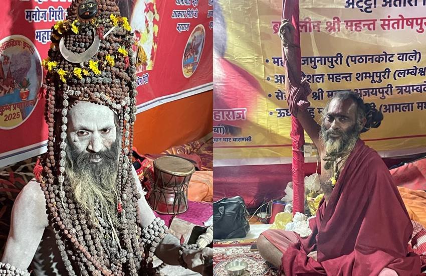 Viral Babas of Maha Kumbh 2025