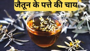 Olive Leaf Tea। Olive leaf tea benefits। Olive leaf tea side effects