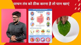 betel leaves benefits,betel leaves for improve neurological problems,Incredible Benefits Of Betel Leaf, sadhguru tips for bowel movement