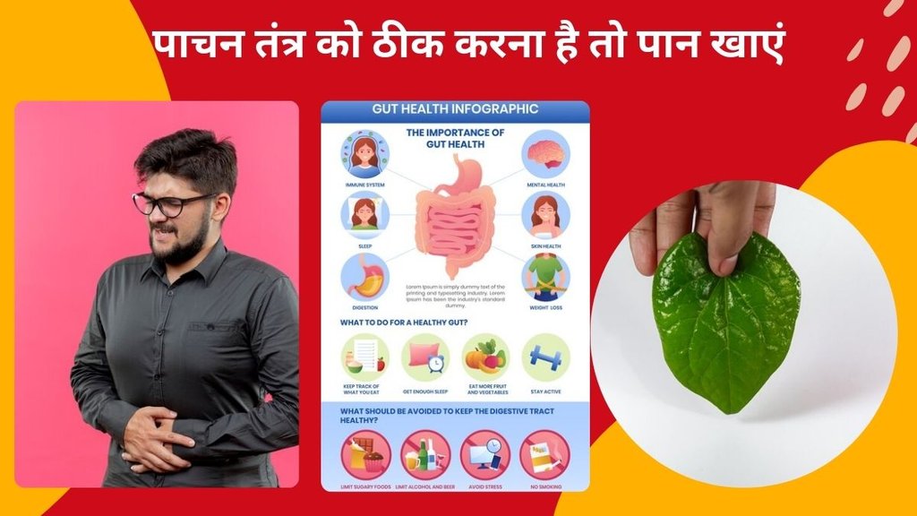 betel leaves benefits,betel leaves for improve neurological problems,Incredible Benefits Of Betel Leaf, sadhguru tips for bowel movement