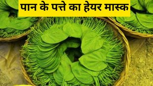Paan For Hair । Betel leaf hair mask। hair mask
