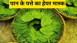 इस हरे पत्ते का हेयर मास्क लगाने से नहीं झड़ते हैं बाल, सर्दी में भी कर सकते हैं उपयोग