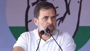 Rahul Gandhi, Rahul Gandhi Rally, Rahul Gandhi News