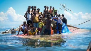Rohingya Crisis, refugee crisis, world news,