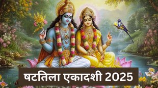 Shattila Ekadashi 2025, Shattila Ekadashi 2025 Daan, Shattila Ekadashi 2025 Date, Shattila Ekadashi 2025 Tithi, Shattila Ekadashi 2025 Jyotish Tips