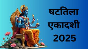 Shattila Ekadashi 2025, Shattila Ekadashi 2025, Shattila Ekadashi 2025 Date, Shattila Ekadashi 2025 Tithi, Tulsi Stotram in Hindi, Shattila Ekadashi 2025 Tulsi Stotram