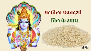 Shattila Ekadashi 2025, Shattila Ekadashi 2025 muhurat, Shattila Ekadashi 2025 til ka daan, Shattila Ekadashi 2024 till upay, , Shattila Ekadashi 2025 Puja Niyam, षटतिला एकादशी 2025, षटतिला एकादशी व्रत 2025, षटतिला एकादशी उपाय, Shattila Ekadashi 2025 Vrat, Shattila Ekadashi 2025, Shattila Ekadashi 2025 importance, Shattila Ekadashi 2025 Puja vidhi,
