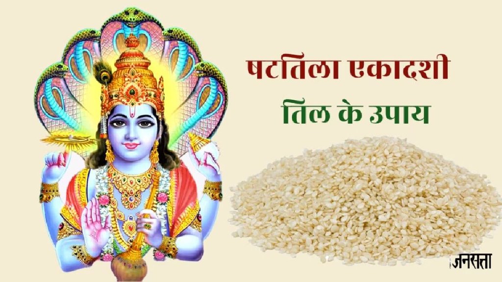 Shattila Ekadashi 2025, Shattila Ekadashi 2025 muhurat, Shattila Ekadashi 2025 til ka daan, Shattila Ekadashi 2024 till upay, , Shattila Ekadashi 2025 Puja Niyam, षटतिला एकादशी 2025, षटतिला एकादशी व्रत 2025, षटतिला एकादशी उपाय, Shattila Ekadashi 2025 Vrat, Shattila Ekadashi 2025, Shattila Ekadashi 2025 importance, Shattila Ekadashi 2025 Puja vidhi,