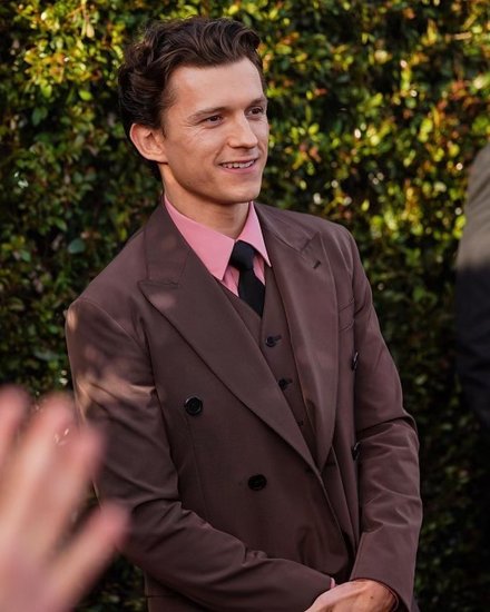 Tom and Zendaya Christmas engagement