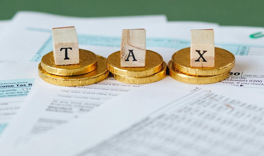 Things in indirect taxes