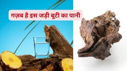 इस लकड़ी का एक टुकड़ा पानी में भिगोकर रोजाना पी लें, डायबिटीज हो जाएगी कंट्रोल, मिलेंगे 5 अद्भुत फायदे