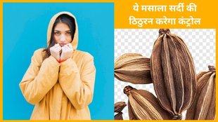 black cardamom, badi elaichi, winter, cold weather, thermogenic, health, Ayurveda, natural remedies, black cardamom benefits