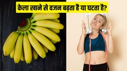 केला खाने से वजन बढ़ता है या घटता है? यहां जान लें इस सवाल का जवाब