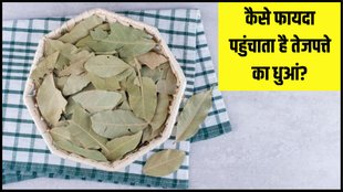 bay leaf । burning bay leaf benefits । bay leaf benefits in Hindi