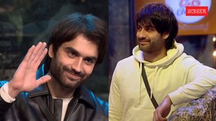 Bigg Boss 18 Vivian Dsena