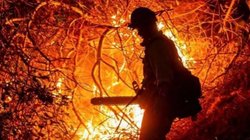 Los Angeles Wildfires: क्यों एक हफ्ते से बुझ नहीं पा रही दक्षिण कैलिफोर्निया के जंगलों में लगी आग, फायर फाइटर्स को आ रहीं क्या दिक्कतें?