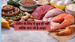 प्रोटीन का पावरहाउस है चना, हफ्ते में सिर्फ 3 बार खाने से कमी हो जाएगी पूरी, बॉडी पर दिखेगा जादुई असर